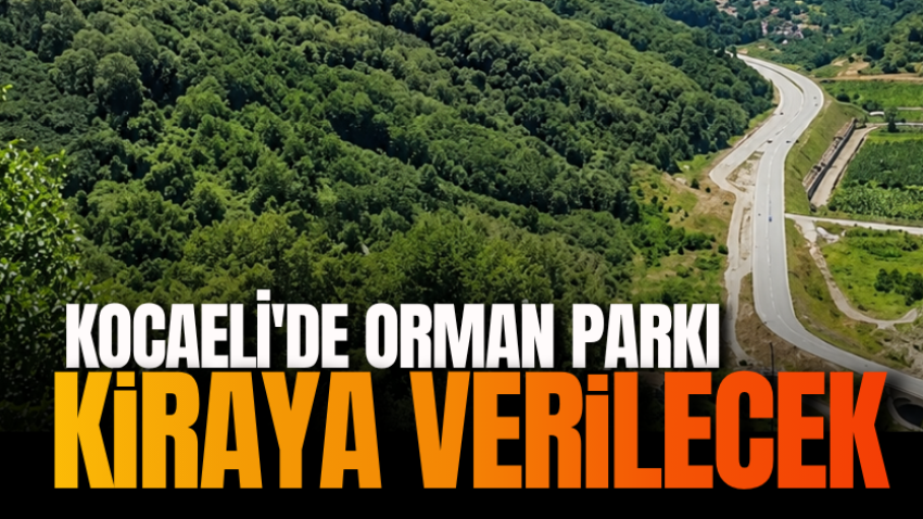 Kocaeli'de orman parkı kiraya verilecek