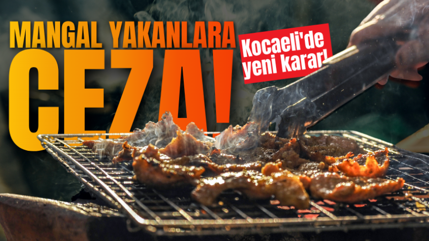 Kocaeli'de yeni karar! Mangal yakanlara ceza!