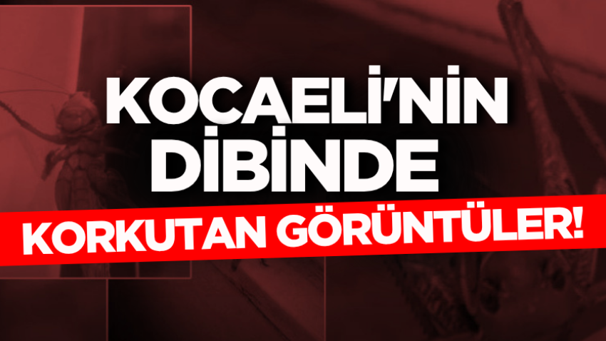 Kocaeli'nin dibinde korkutan görüntüler!