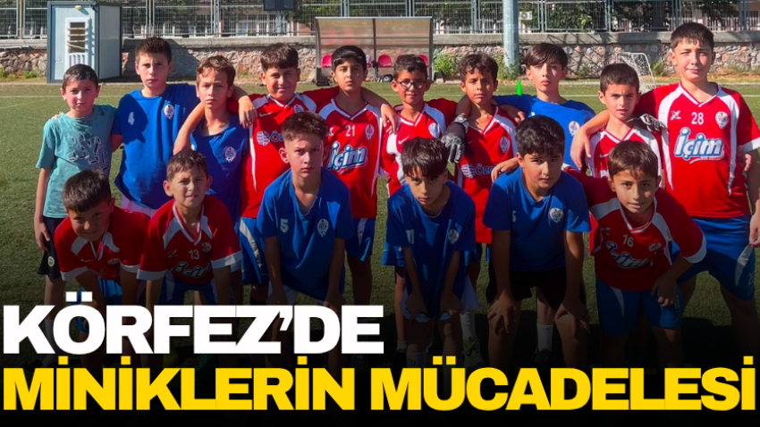 Körfez’de miniklerin mücadelesi