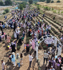 Lavanta kokuları arasında bereketli hasat