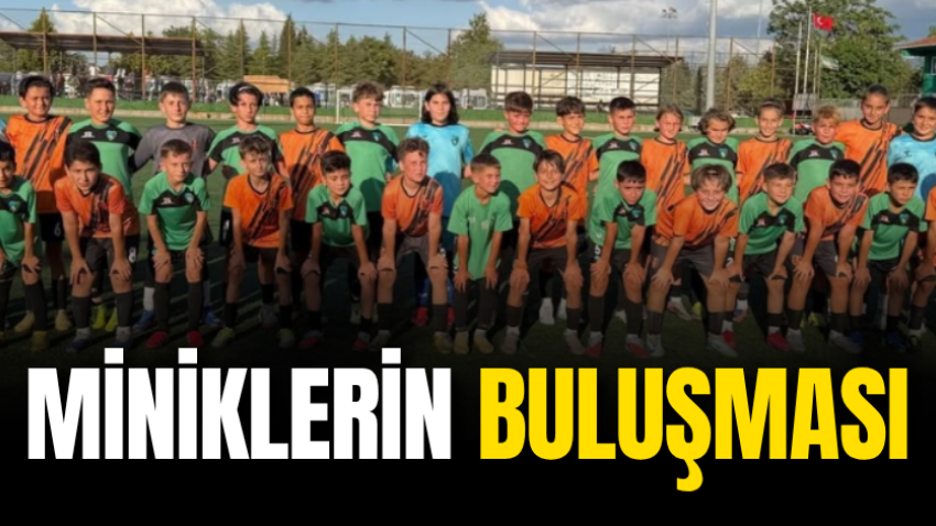 Miniklerin buluşması 