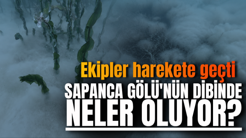 Sapanca Gölü'nün dibinde neler oluyor? Ekipler harekete geçti