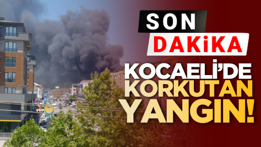SON DAKİKA: Kocaeli’de korkutan yangın!