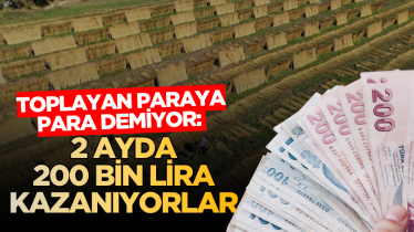 Toplayan paraya para demiyor: 2 ayda 200 bin lira kazanıyorlar
