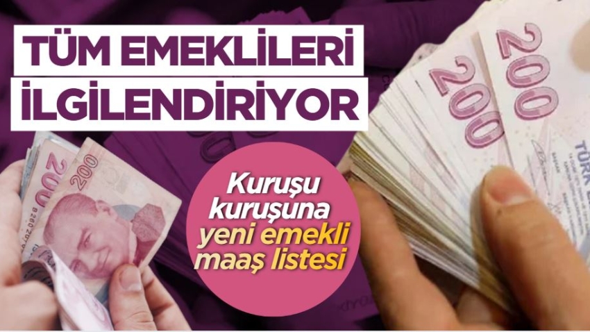 Tüm emeklileri ilgilendiriyor: Kuruşu kuruşuna yeni emekli maaş listesi