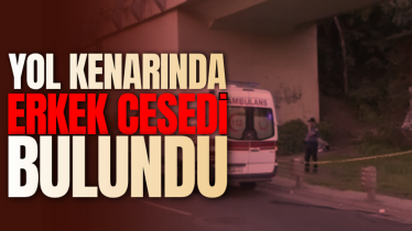 Yol kenarında erkek cesedi bulundu