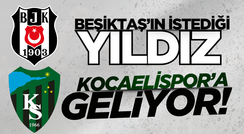 Beşiktaş’ın istediği yıldız Kocaelispor’a geliyor! 