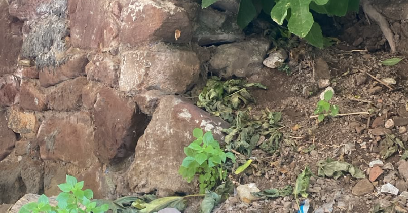 İzmit'te korkutan görüntüler! Vatandaş isyan etti