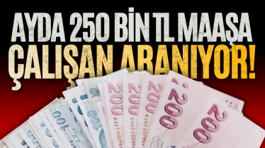 Ayda 250 bin TL maaşa çalışan aranıyor!