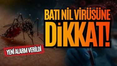 Batı Nil virüsüne dikkat! Yeni alarm verildi