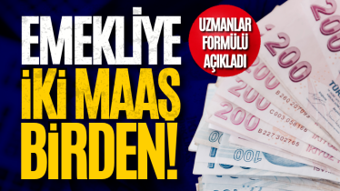 Emekliye iki maaş birden! Uzmanlar formülü açıkladı