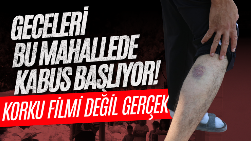 Geceleri bu mahallede kabus başlıyor! Korku filmi değil gerçek
