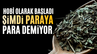 Hobi olarak başladı, şimdi paraya para demiyor