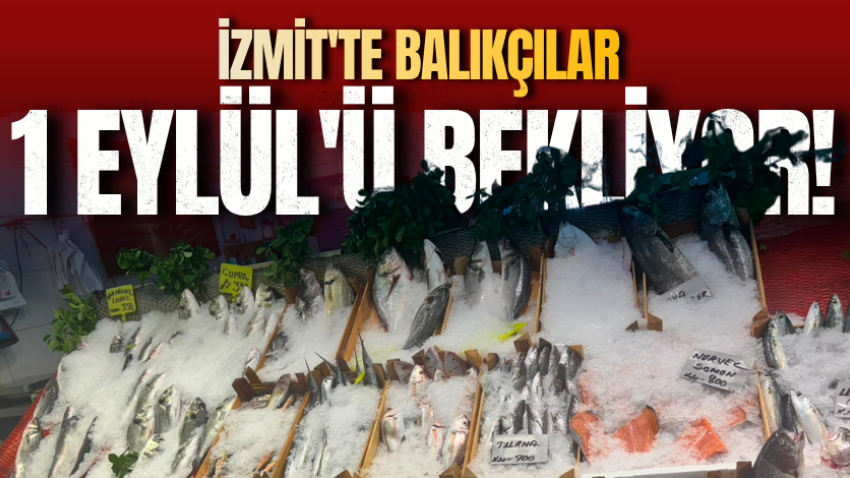 İzmit'te balıkçılar 1 Eylül'ü bekliyor! 