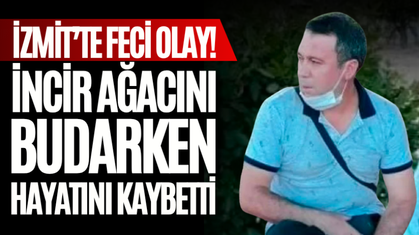 İzmit’te feci olay! İncir ağacını budarken hayatını kaybetti