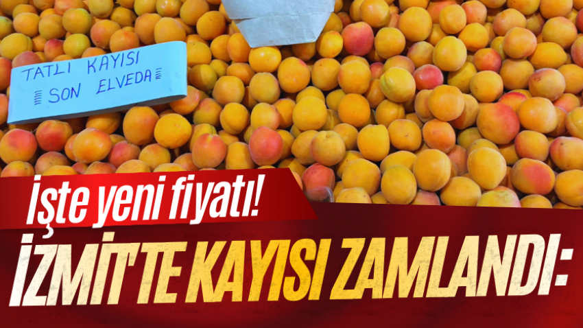 İzmit'te kayısı zamlandı: İşte yeni fiyatı!