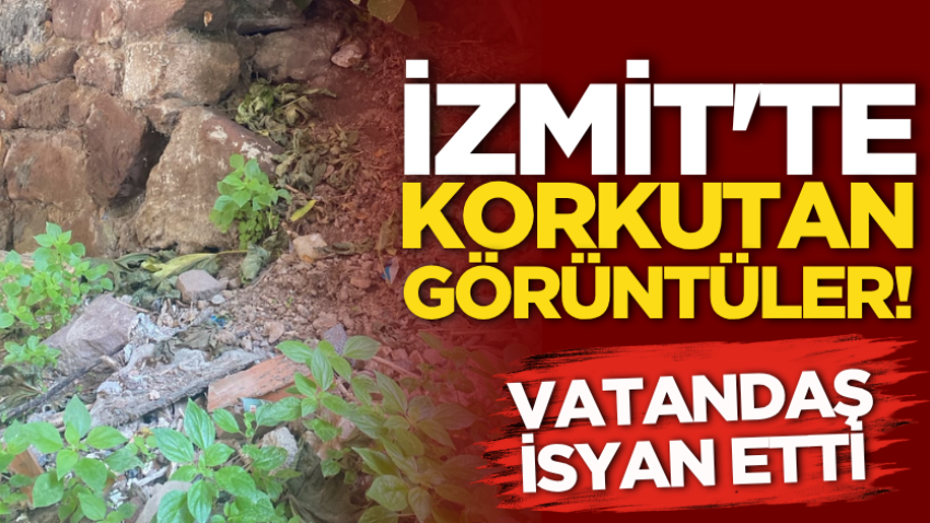 İzmit'te korkutan görüntüler! Vatandaş isyan etti