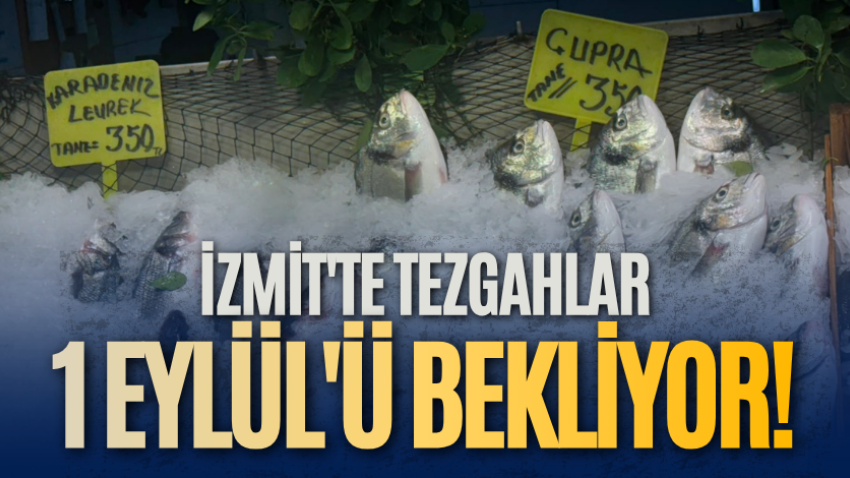 İzmit'te tezgahlar 1 Eylül'ü bekliyor!