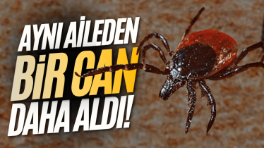 Kene aynı aileden bir can daha aldı!
