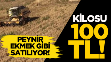 Kilosu 100 TL! Peynir ekmek gibi satılıyor!