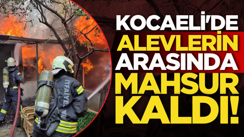 Kocaeli'de alevlerin arasında mahsur kaldı! 