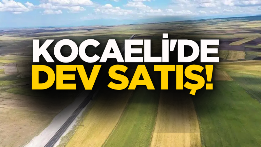 Kocaeli'de dev satış!