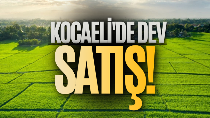 Kocaeli'de dev satış!