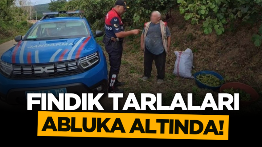 Kocaeli'de fındık tarlaları abluka altında!