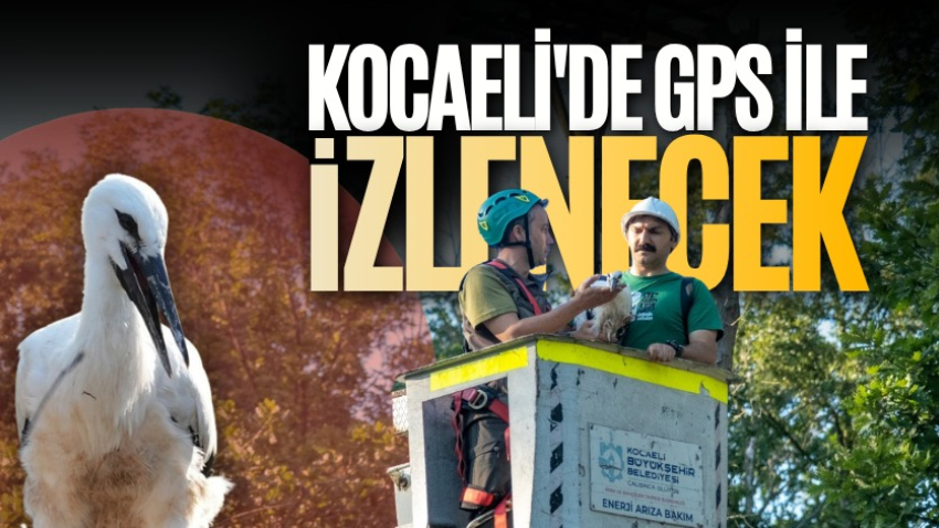 Kocaeli'de GPS ile izlenecek
