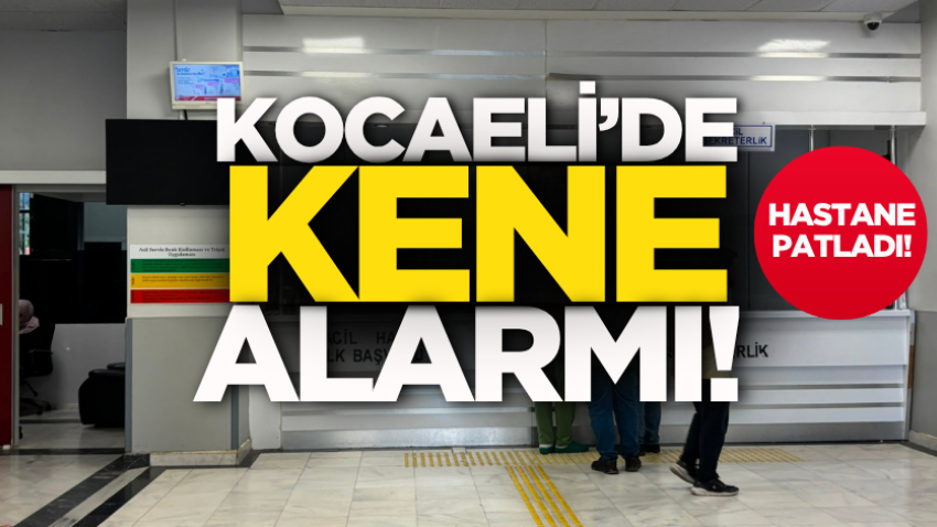 Kocaeli’de kene alarmı! Hastane patladı!