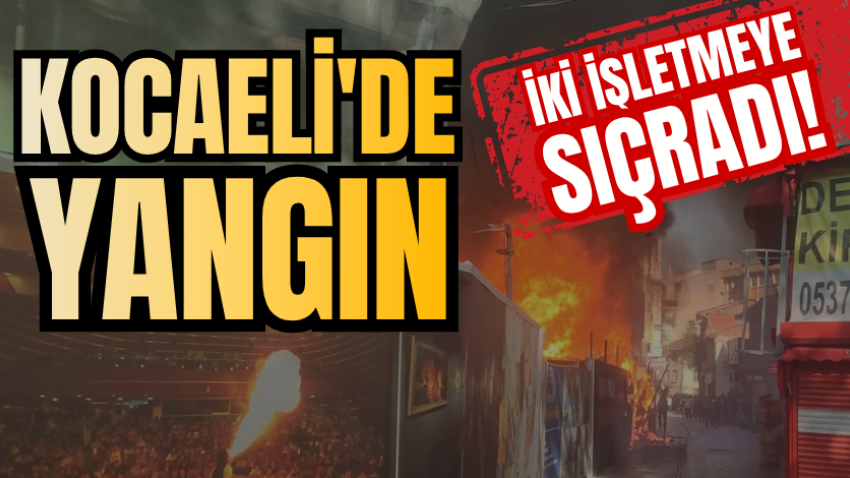Kocaeli'de konteynerdeki yangın iki işletmeye sıçradı!