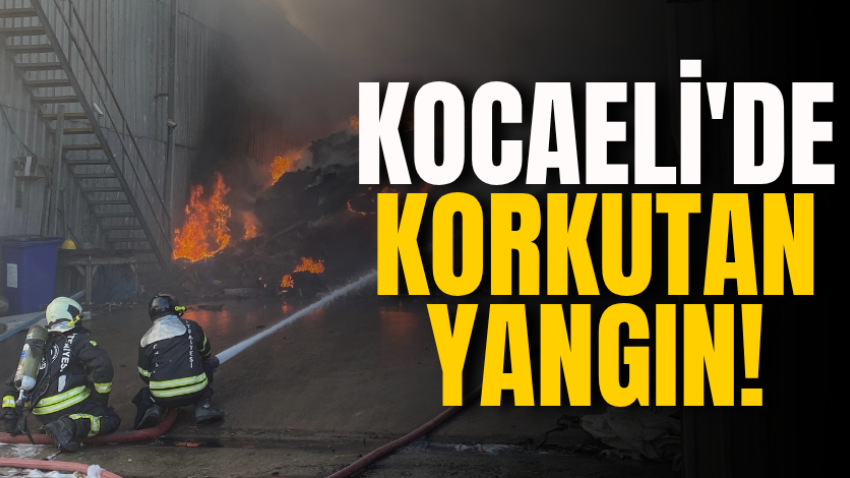 Kocaeli'de korkutan yangın!
