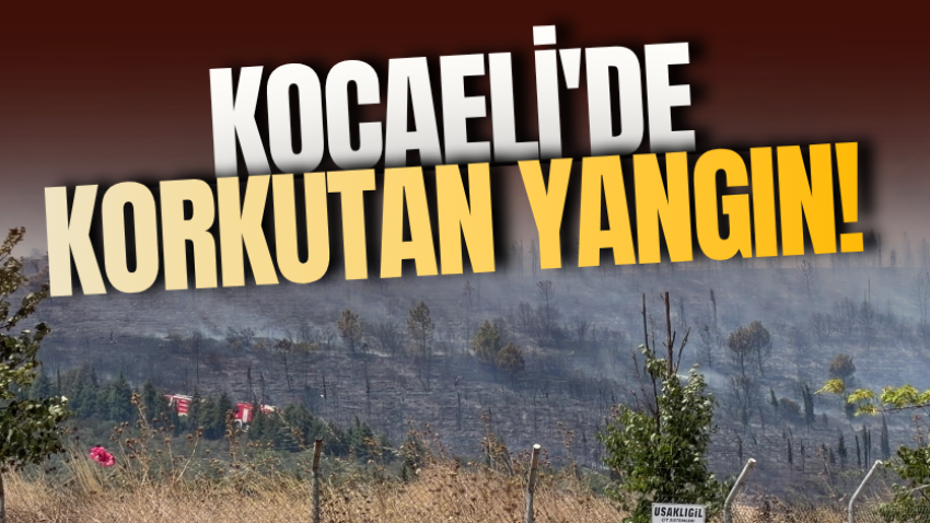 Kocaeli'de korkutan yangın! 