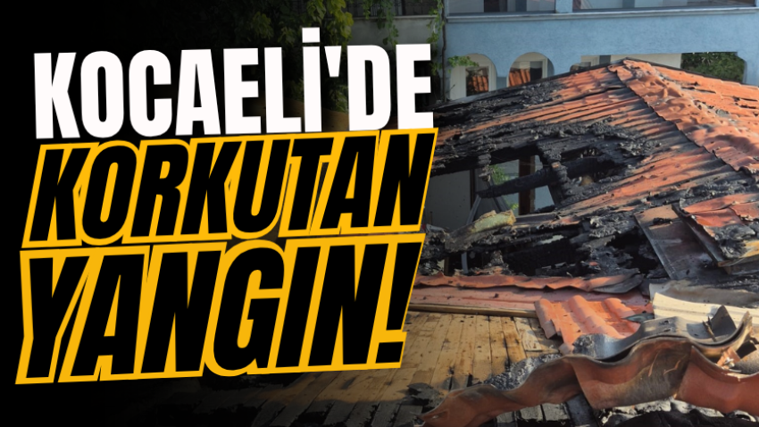 Kocaeli'de korkutan yangın!