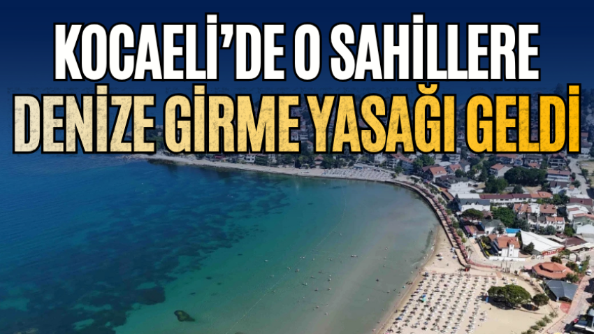 Kocaeli’de o sahillere denize girme yasağı geldi