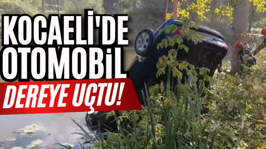 Kocaeli'de otomobil dereye uçtu!