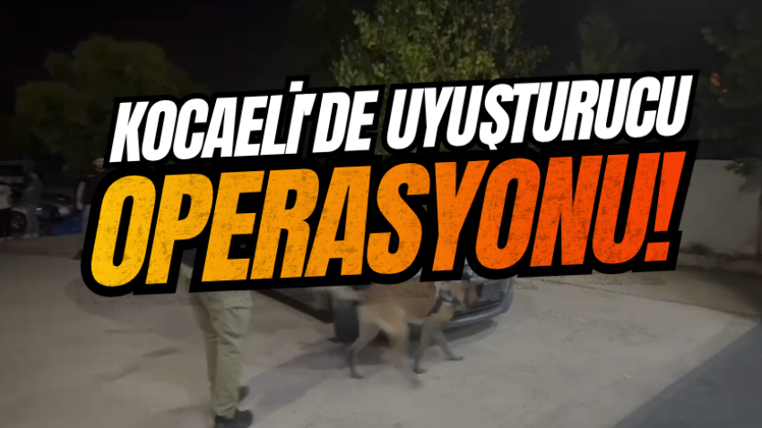 Kocaeli'de uyuşturucu operasyonu!