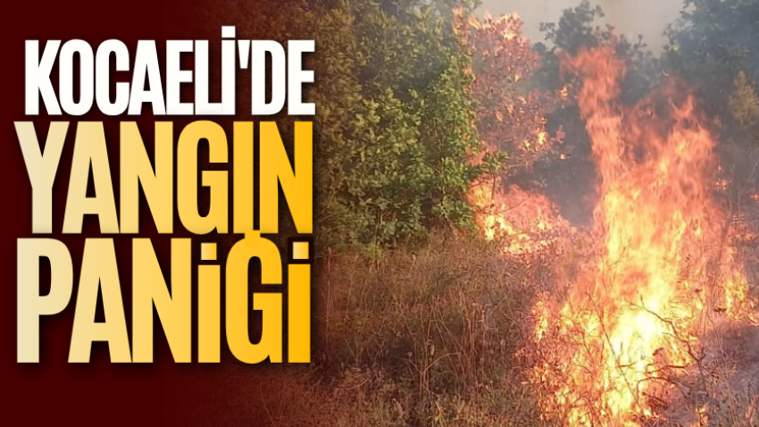 Kocaeli'de yangın paniği