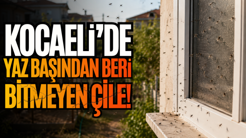 Kocaeli’de yaz başından beri bitmeyen çile!