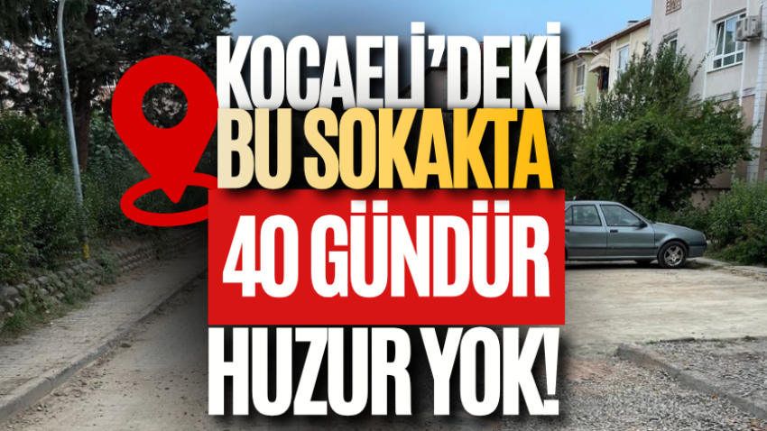 Kocaeli’deki bu sokakta 40 gündür huzur yok! 