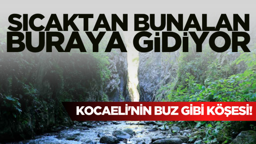 Kocaeli'nin buz gibi köşesi! Sıcaktan bunalan buraya gidiyor 