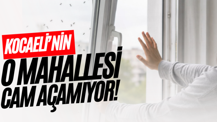 Kocaeli’nin o mahallesi cam açamıyor!