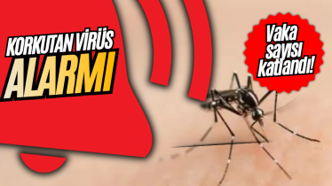 Korkutan virüs alarmı: Vaka sayısı katlandı!