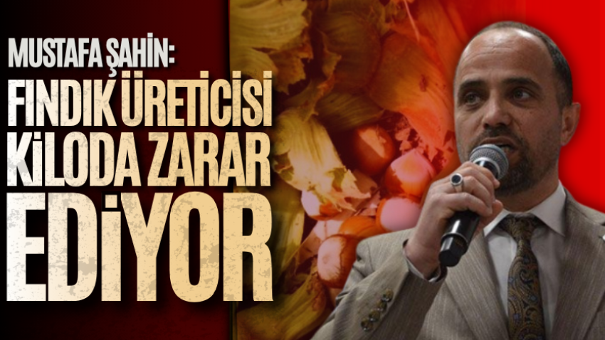 Mustafa Şahin: Fındık üreticisi kiloda zarar ediyor