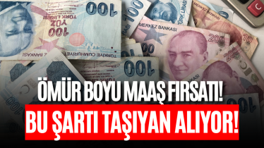 Ömür boyu maaş fırsatı! Bu şartı taşıyan alıyor!