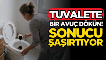 Tuvalete bir avuç dökün! Sonucu şaşırtıyor