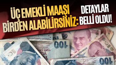 Üç emekli maaşı birden alabilirsiniz: Detaylar belli oldu! 