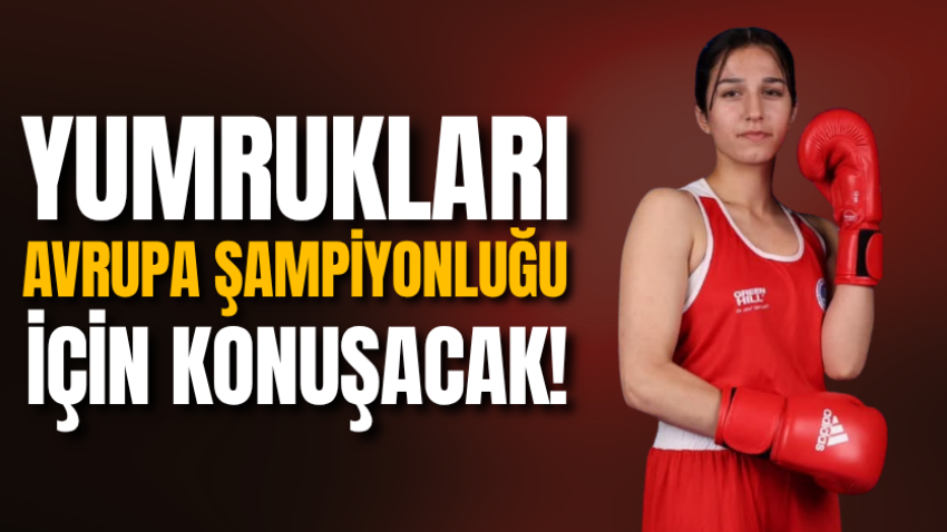 Yumrukları Avrupa Şampiyonluğu için konuşacak!
