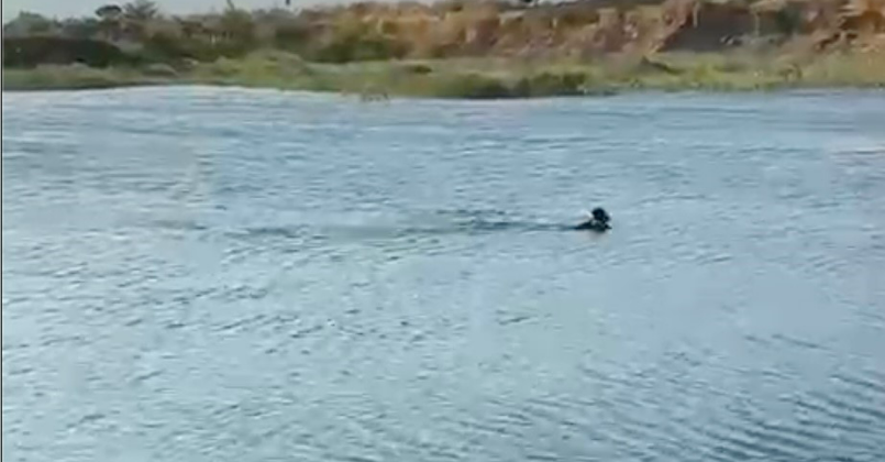 Göletten cansız bedeni çıktı